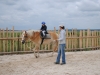 cervenec2015-045