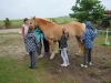 tabor-western-006
