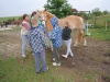 tabor-western-011
