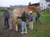 tabor-western-034
