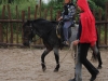 tabor-western-048