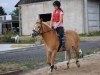 tabor-western-083