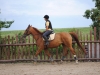 tabor-western-084