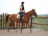 tabor-western-088