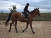 hubert-388